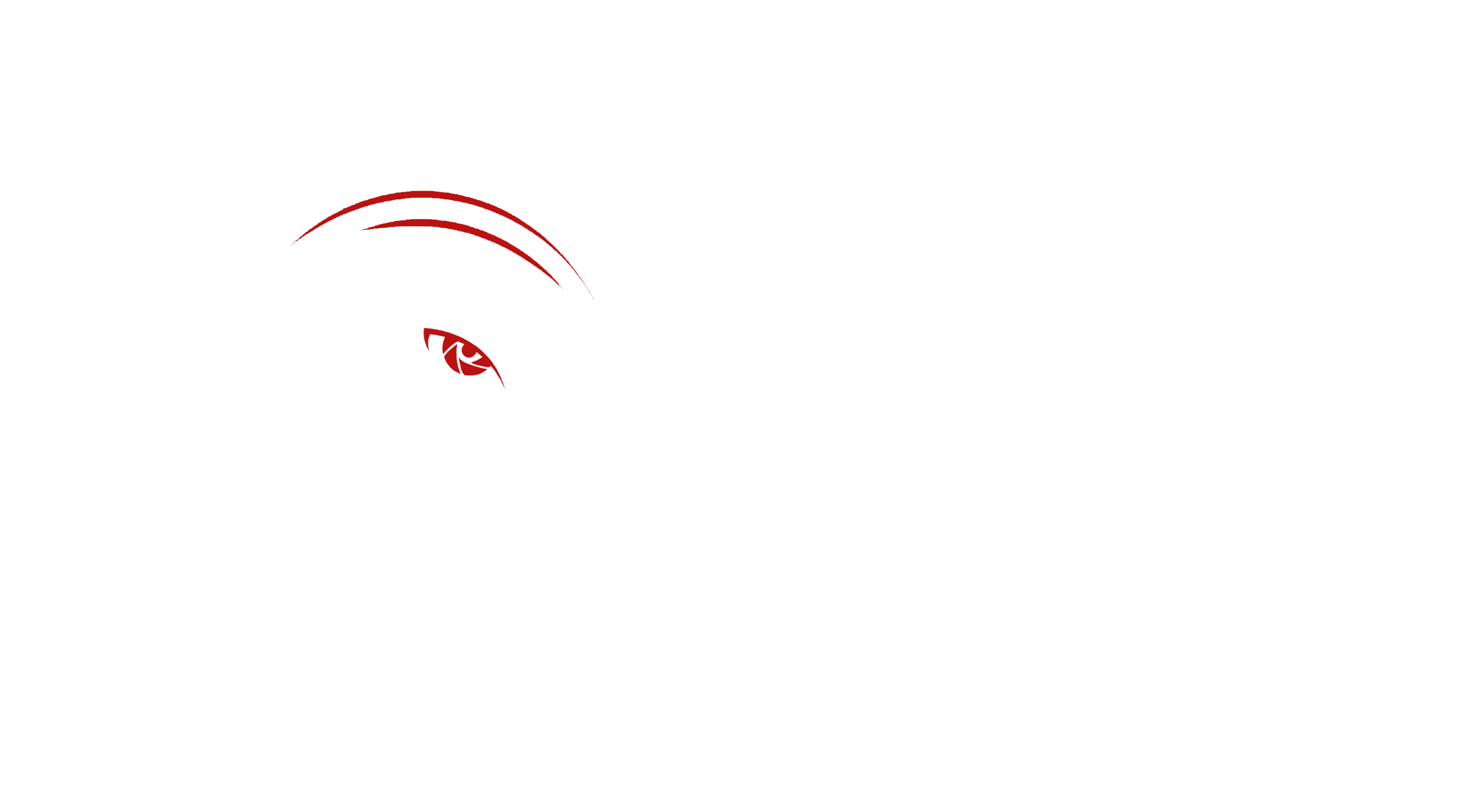 eagleeyedetective service.com